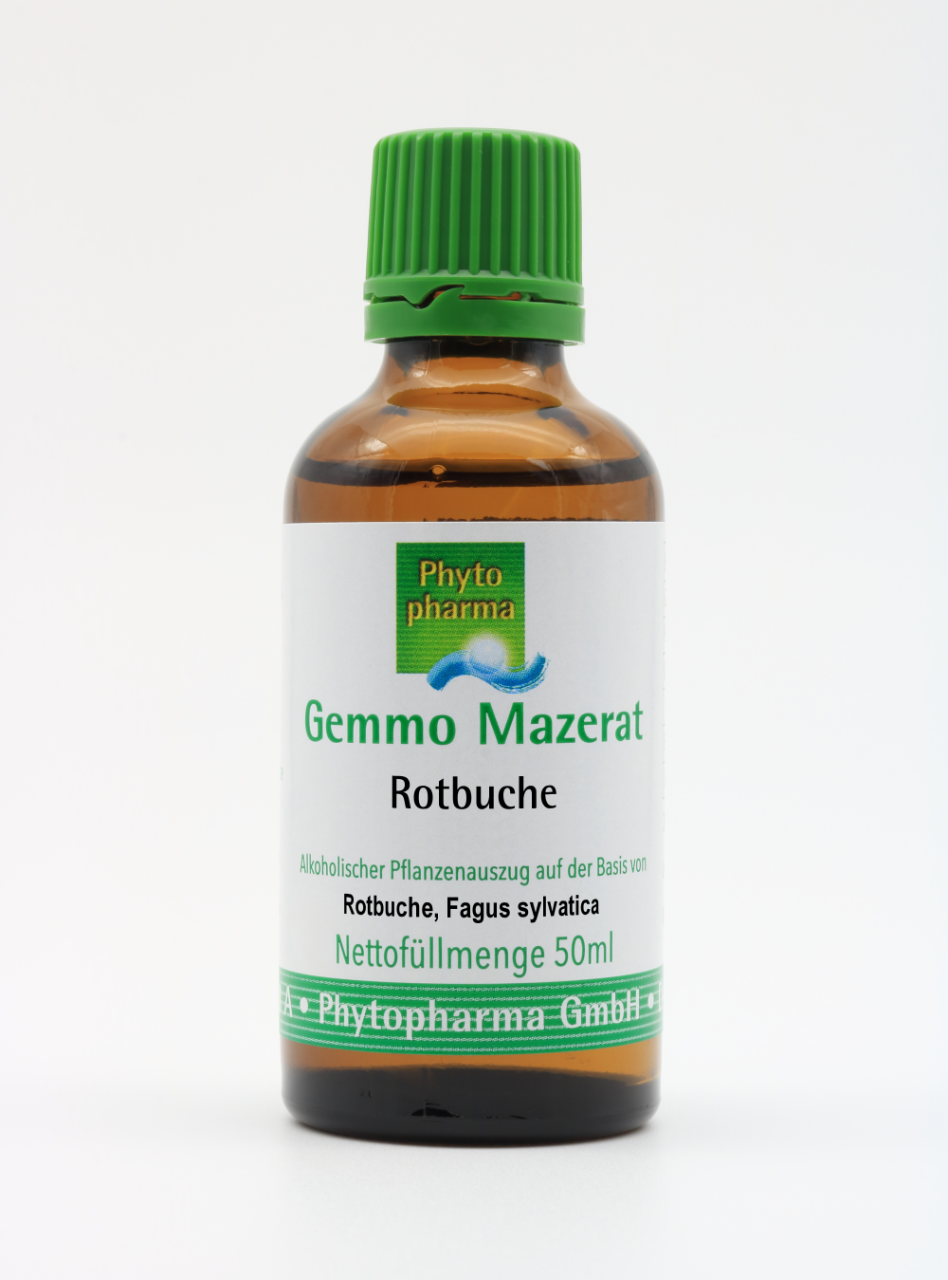 gummibaum lateinisch Tineke-Gummibaum - Ficus elastica Tineke main image 1