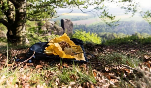 Bienenwachstuch Large